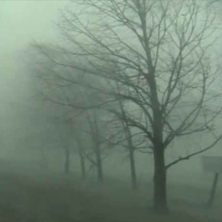 Ambient Video Art