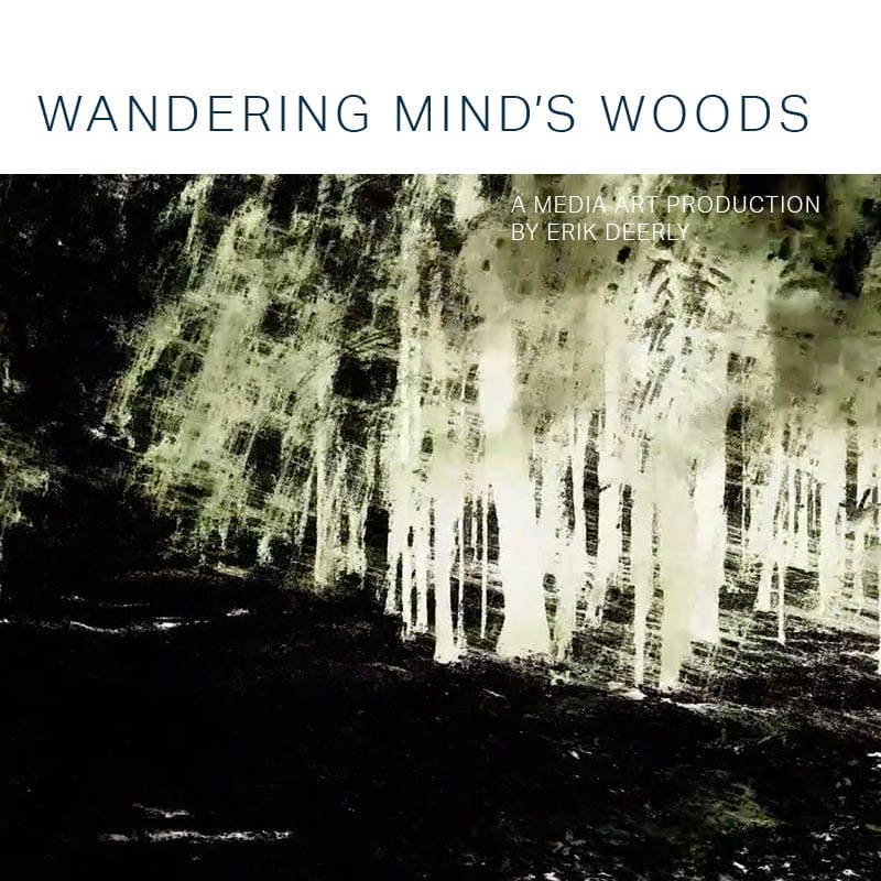 Wandering Mind's Woods