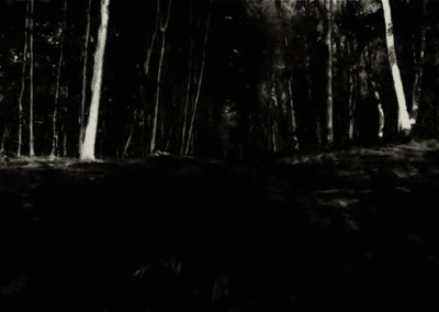 Wandering Mind's Woods clip two