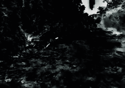 Wandering Mind's Woods clip one